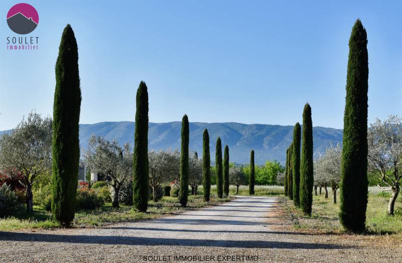 Propriété sur 2.4ha et 700m² habitable Gordes Cabrières d'Avignon plusieurs dépendances